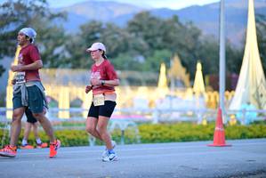 BIB: 
                            <button type="button" onclick="openModal(27827942)" class="btn btn-primary btn-sm float-right btn-popup" data-toggle="modal" data-target=".modal-high-quality">
                        <i class="fas fa-shopping-cart"></i> Add to Cart
                    </button>
                                            <button type="button" onclick="isThisMe(27827942, true)" class="btn btn-success btn-sm float-right btn-popup btn-isme hidden" data-toggle="tooltip" data-placement="bottom" title="นี่คือรูปของคุณใช่ไหม คลิกที่นี่เพื่อเอาเข้าอัลบั้ม">
                        <i class="fas fa-plus"></i> Add to album
                    </button>
                    <button type="button" onclick="isThisMe(27827942, false)" class="btn btn-warning btn-sm float-right btn-popup btn-isnotme hidden">
                        <i class="fas fa-ban"></i> Remove from album
                    </button>